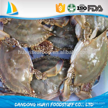 Vendedores de caranguejo azul congelados congelados frescos chineses